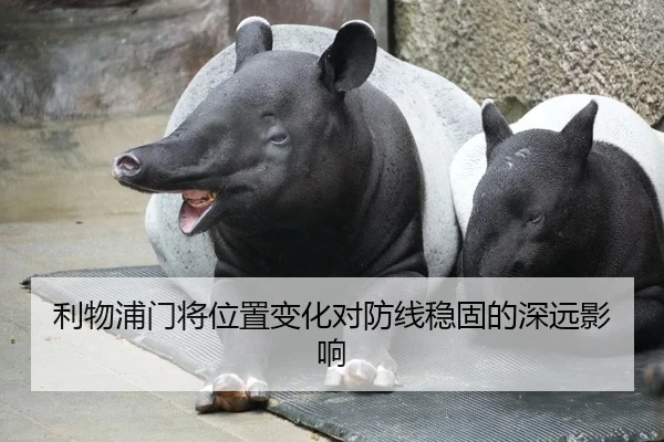 利物浦门将位置变化对防线稳固的深远影响